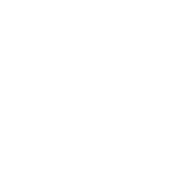 REHABILITACION ORAL